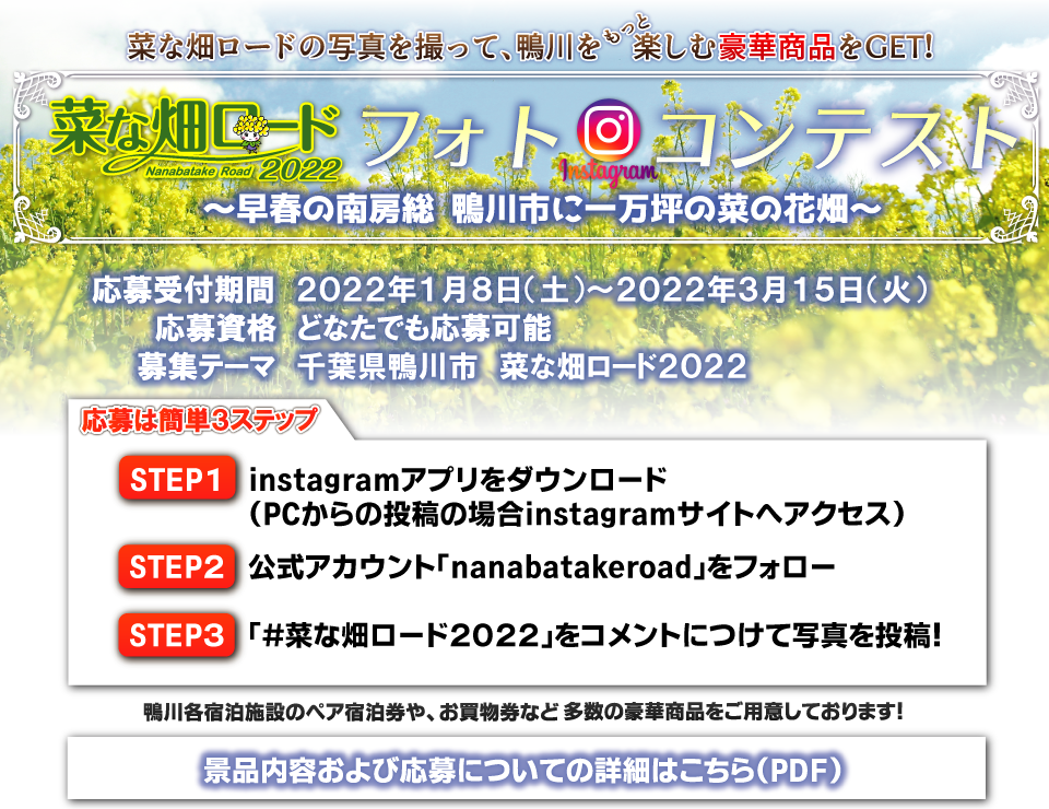 公式サイト 南房総鴨川 菜な畑ロード １万坪の敷地いっぱいに咲く菜の花畑