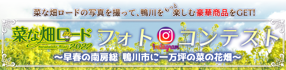 公式サイト 南房総鴨川 菜な畑ロード 1万坪の敷地いっぱいに咲く菜の花畑 公式サイト 南房総鴨川 菜な畑ロード 1万坪の敷地いっぱいに咲く菜の花畑